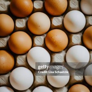 Freerange Eggs (6)